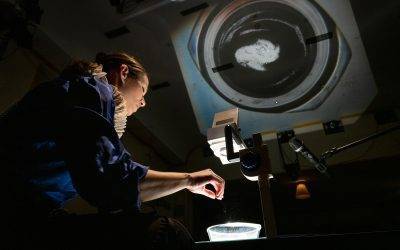 Snimanje predstave „Bomboniera variete!“ 17. 02. u 18:00