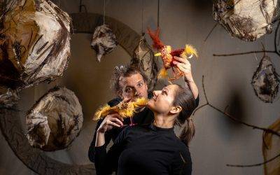 NAJAVA PRAIZVEDBE “DAN KAD SAM SE PRETVORIO U PTICU”